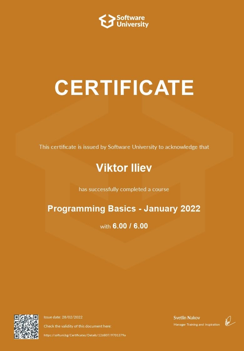 Programming Basics certificate preview